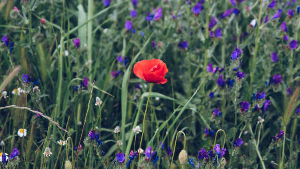 Video: How to... stand out from the crowd